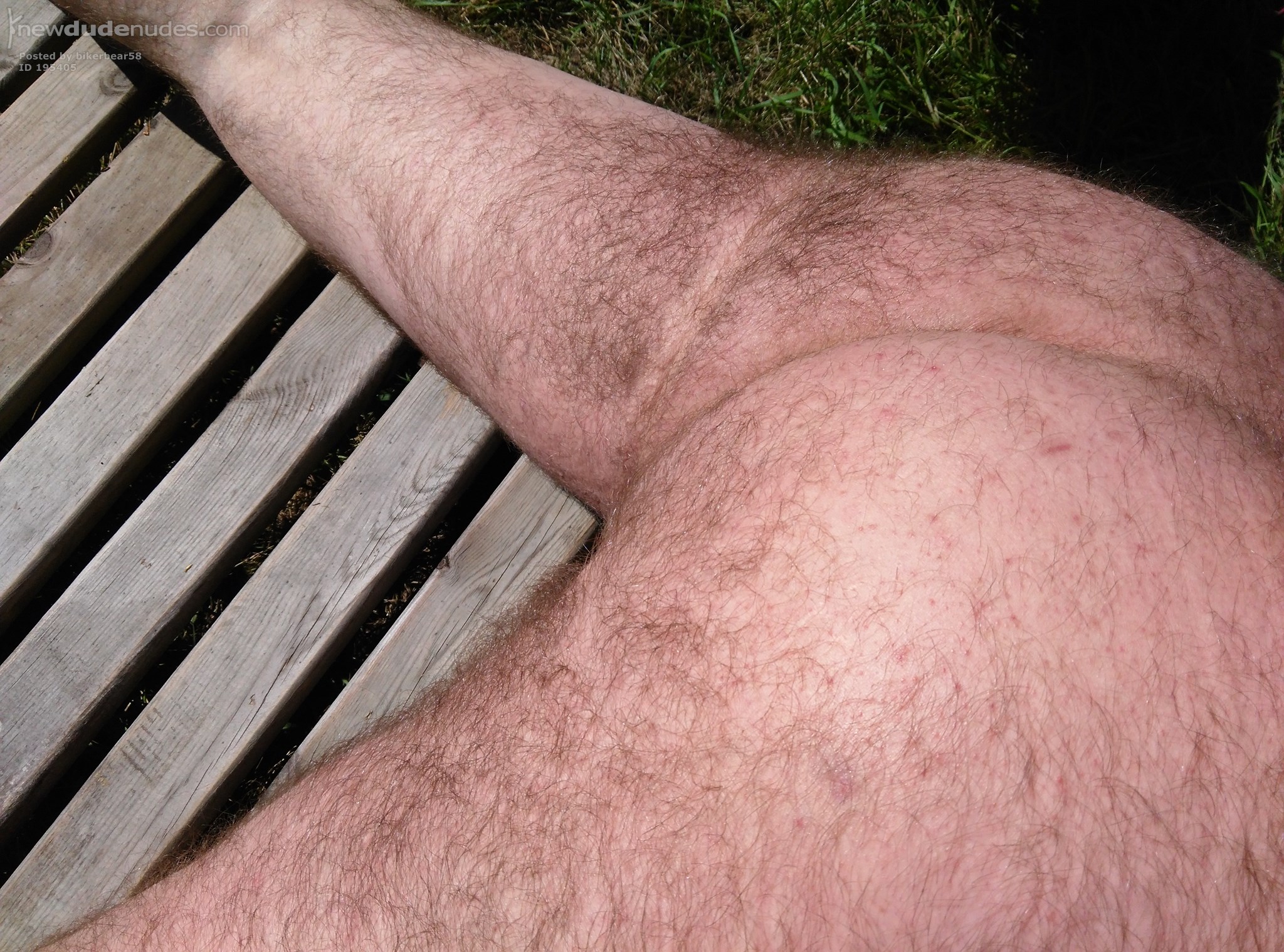bikerbear58 photo #4