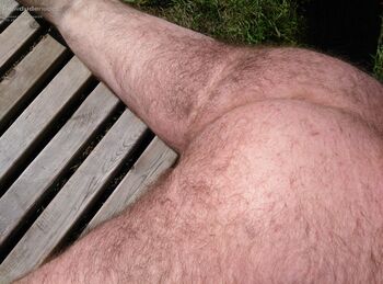 bikerbear58 photo #4