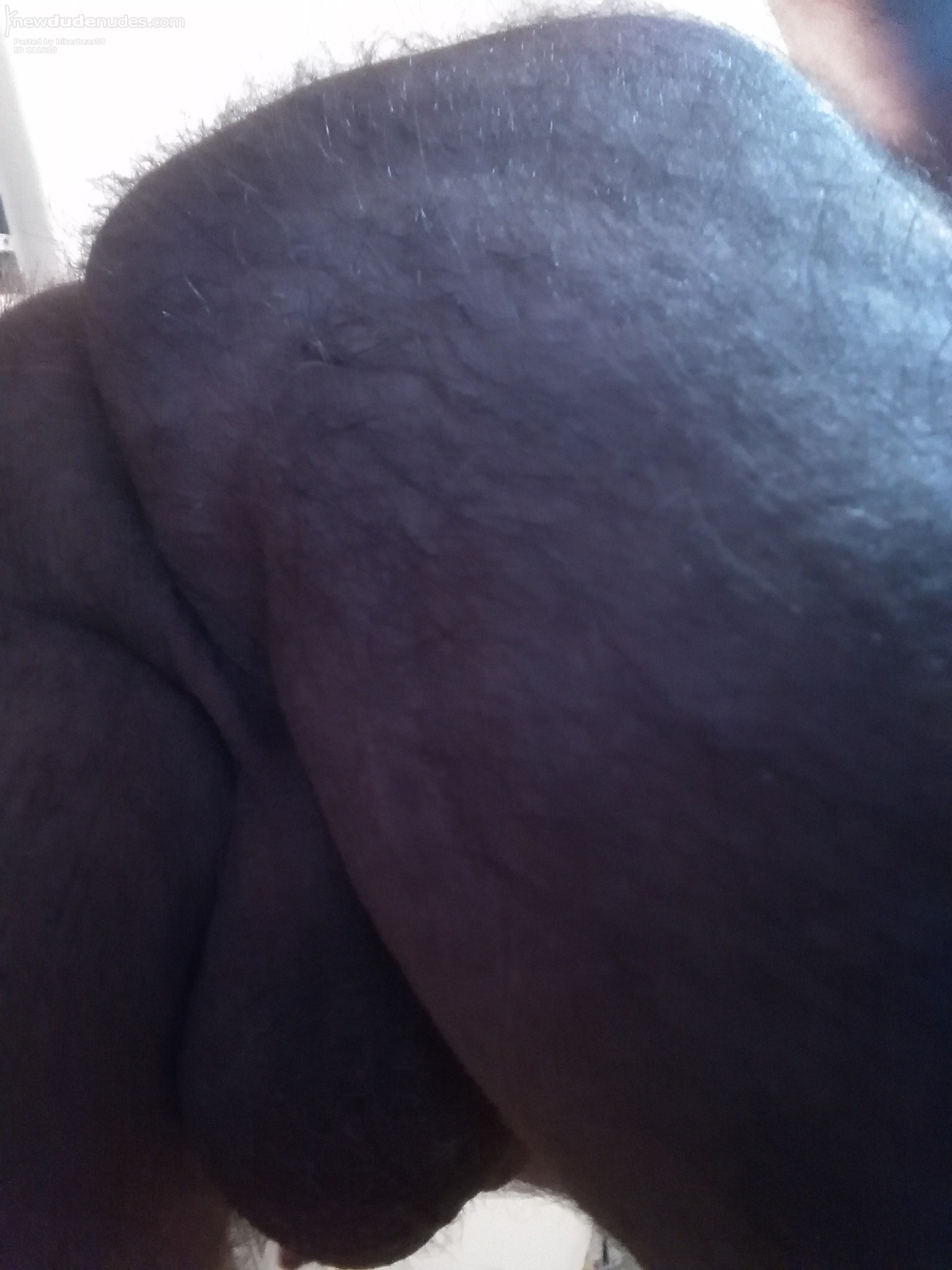 bikerbear58 photo #8