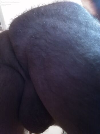bikerbear58 photo #8