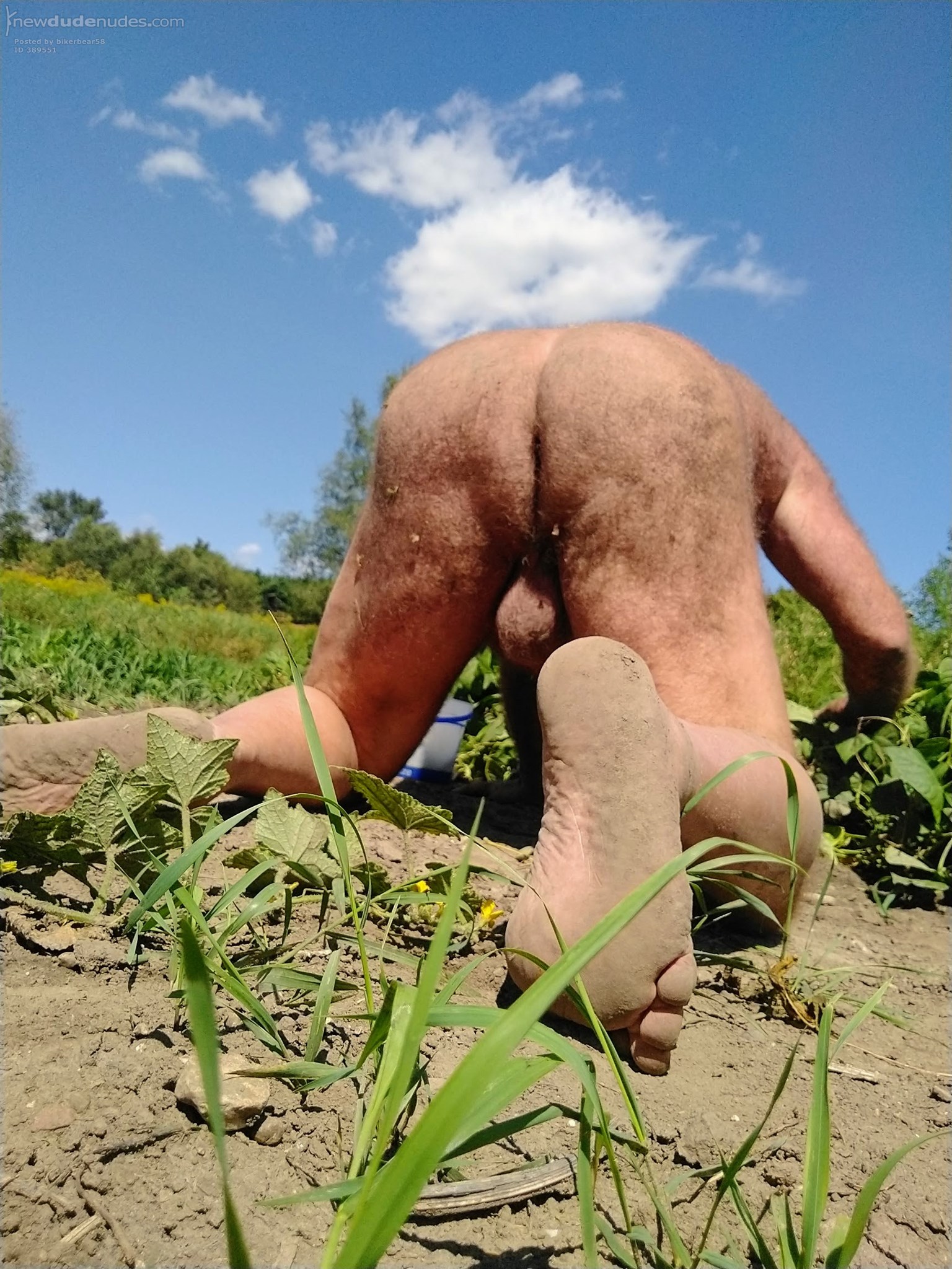 Nude Gardening