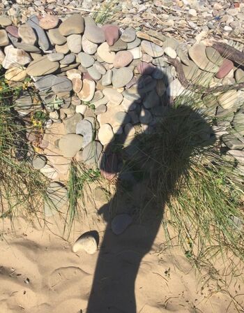 Beach Shadow