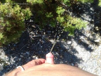 I love to pee outdoors