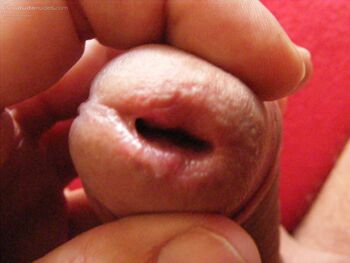 bispiga photo #15