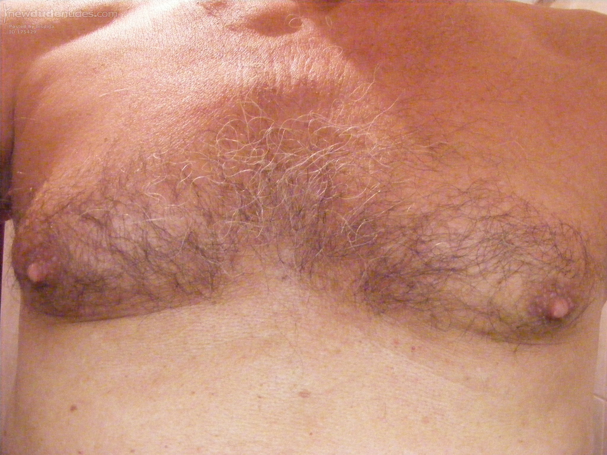 bispiga photo #40