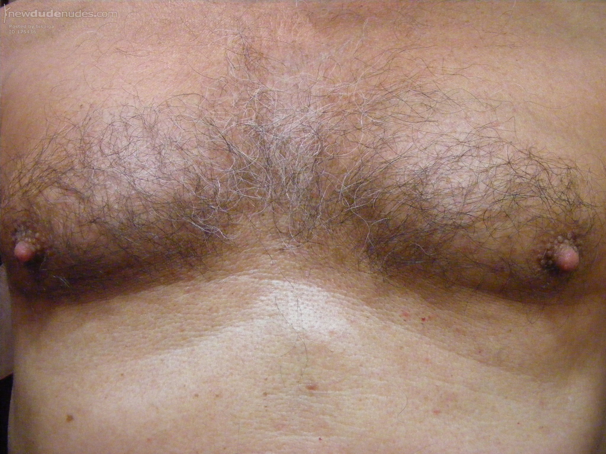bispiga photo #47