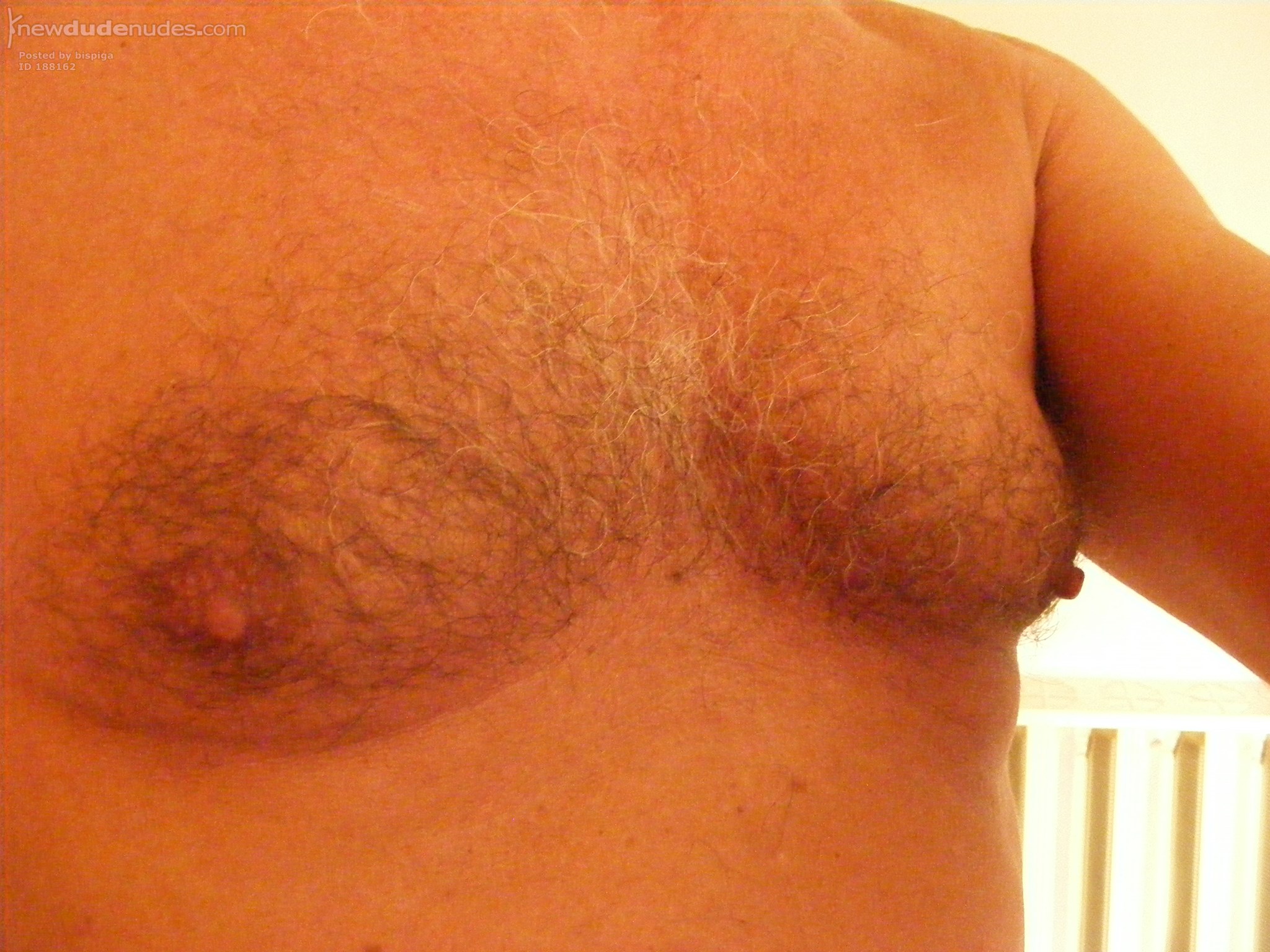 bispiga photo #57