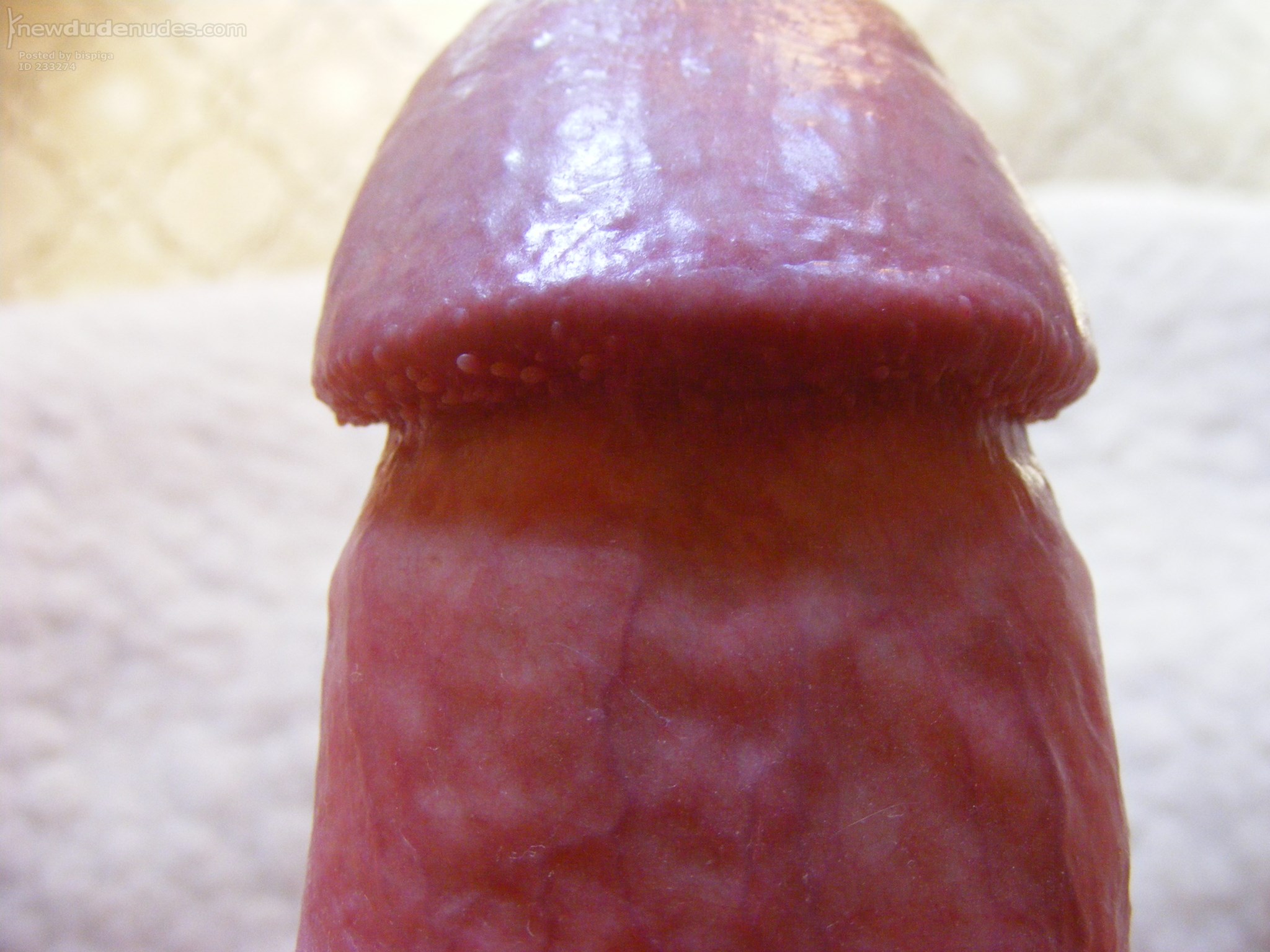 bispiga photo #89