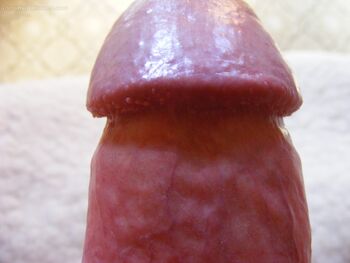 bispiga photo #89