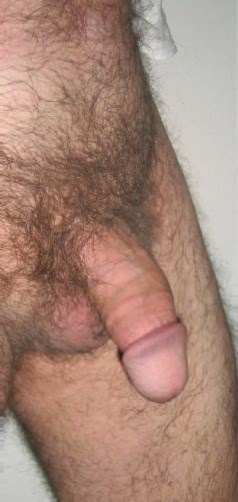 bizz photo #2