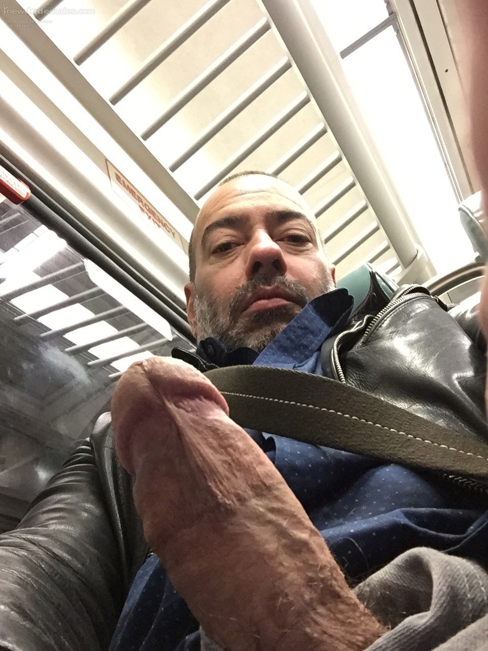 on the train