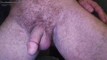 BlueParrot21 photo #7