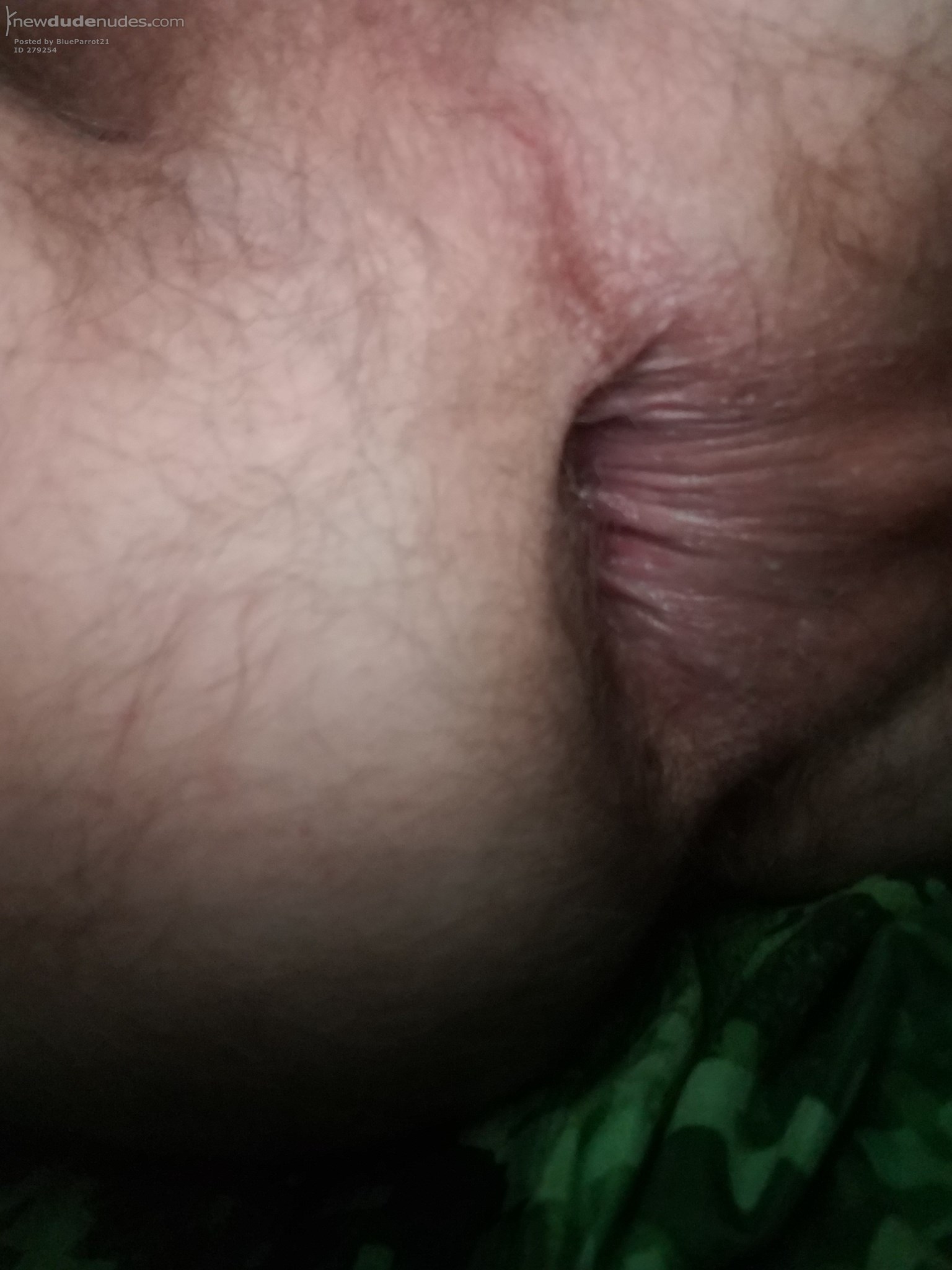 BlueParrot21 photo #27