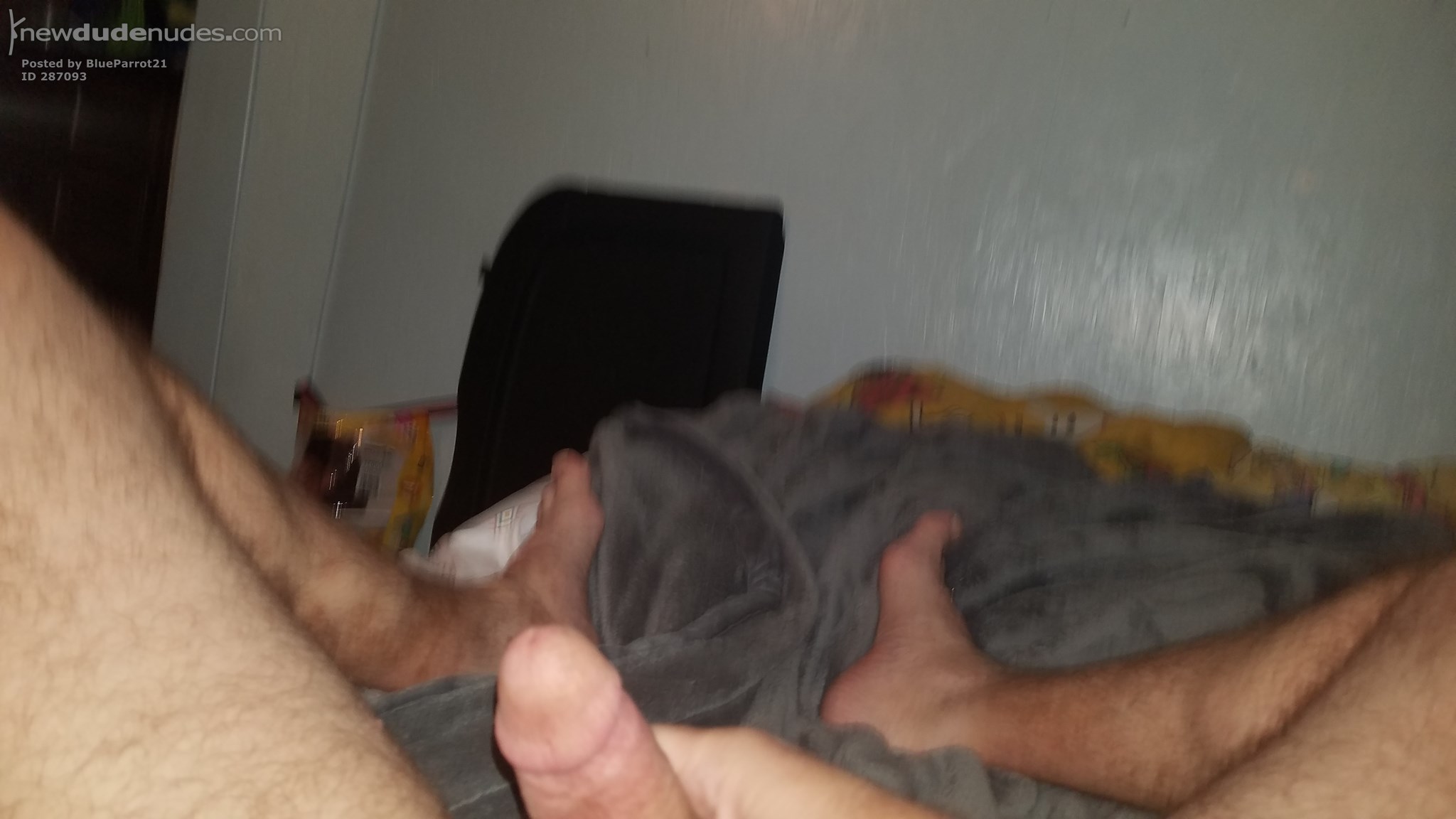 BlueParrot21 photo #49