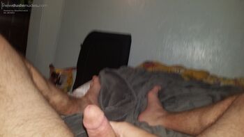 BlueParrot21 photo #49