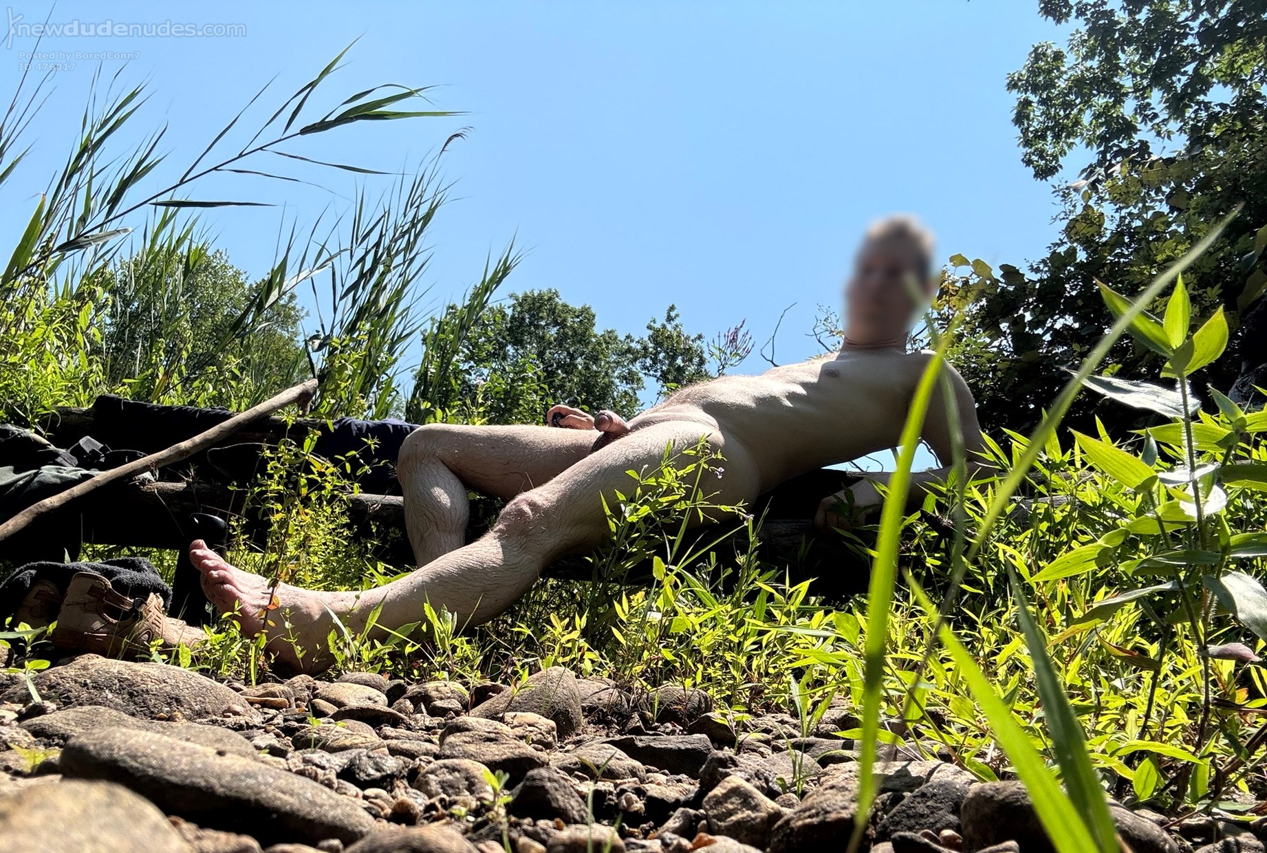 Log by a stream