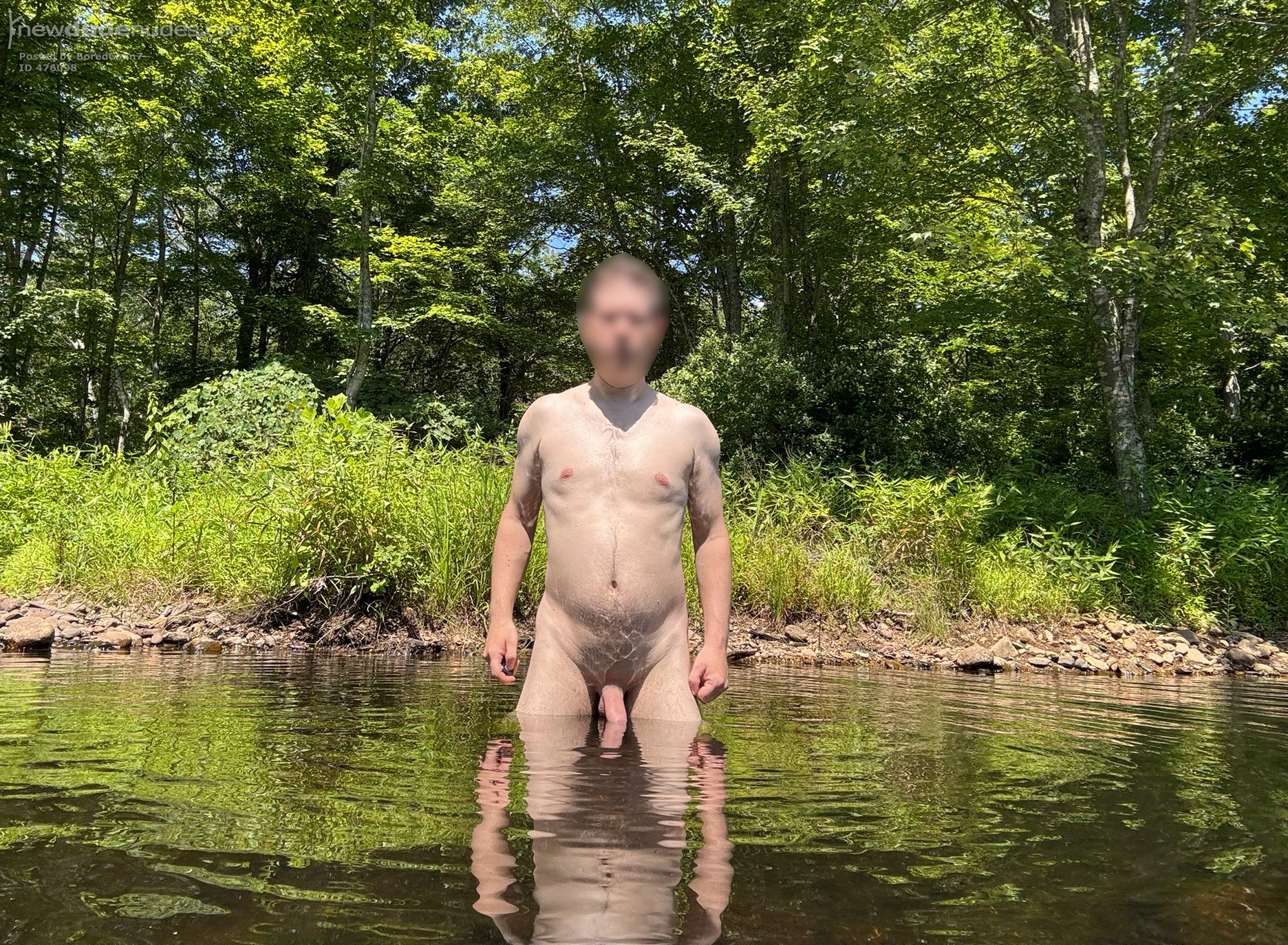 Stream on a Hot Day