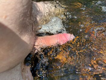 Stream on a hot day