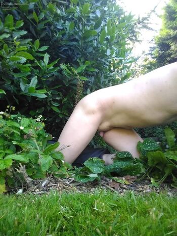 In the garden again