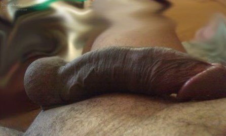 bradsilvercock photo #5
