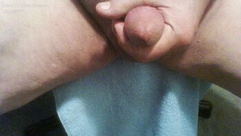 bucster61