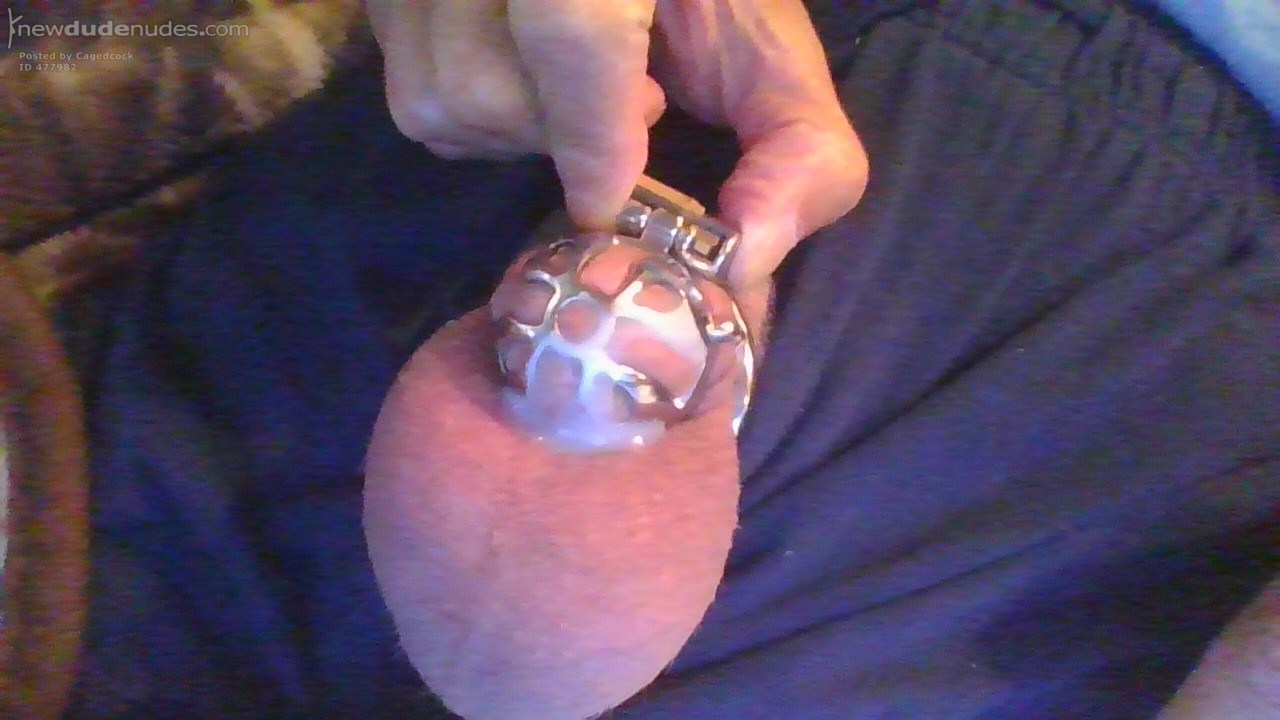 Cock cage cum.