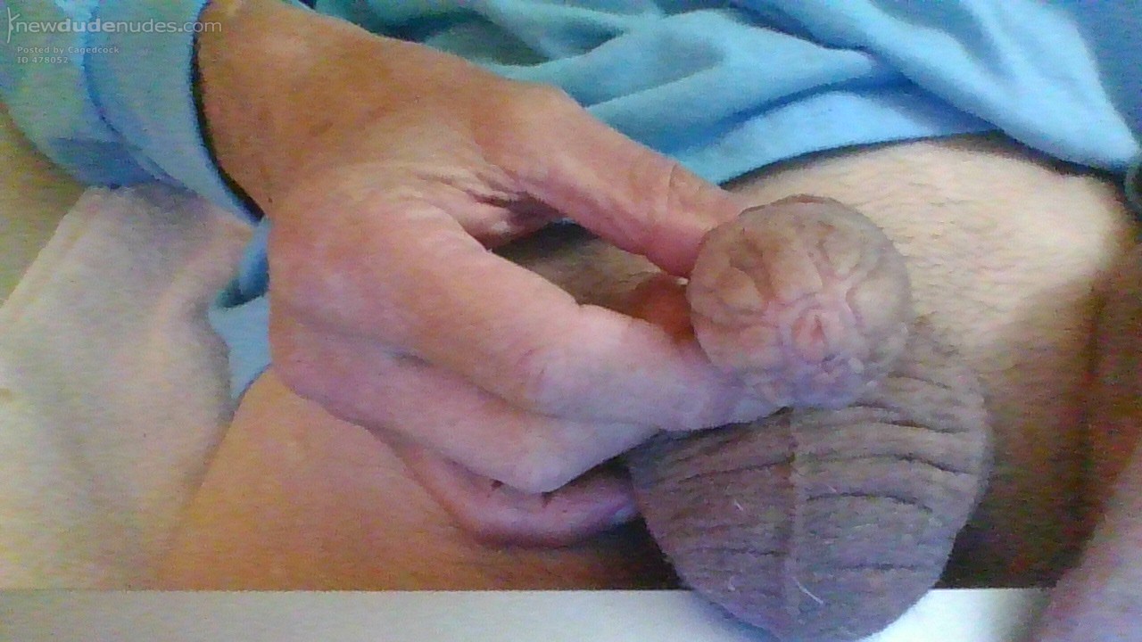 After 48 hours in one of my 1-1/4" cages