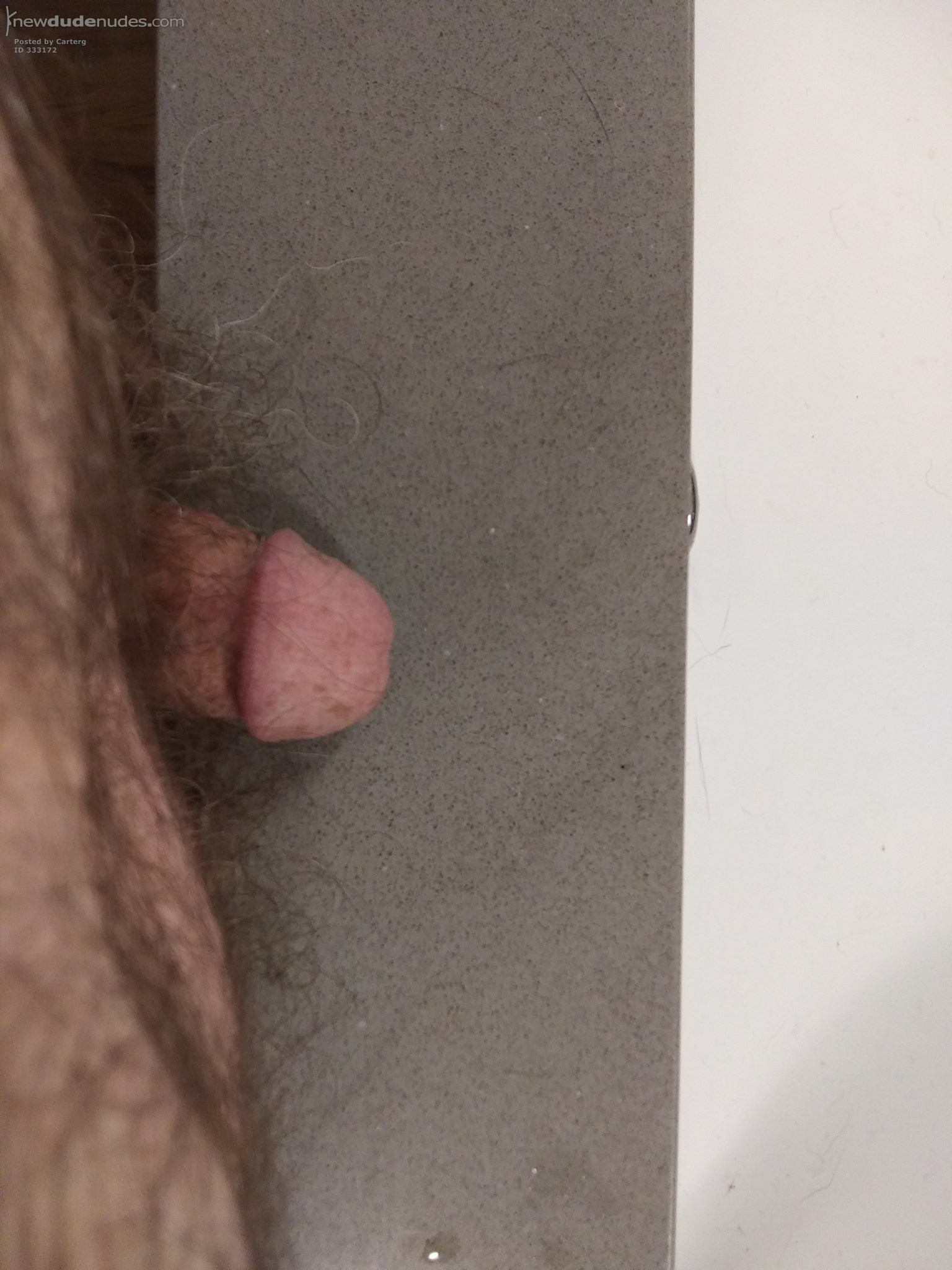 Carterg photo #29