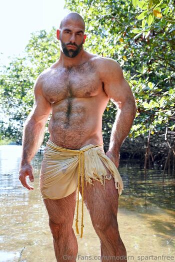 modern spartanfree