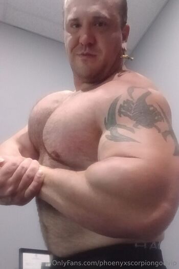 phoenyxscorpiongodvip