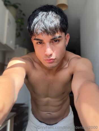 thegoldenboy2000
