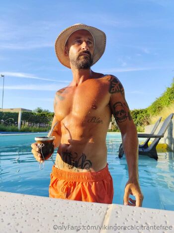 vikingorecalcitrantefree