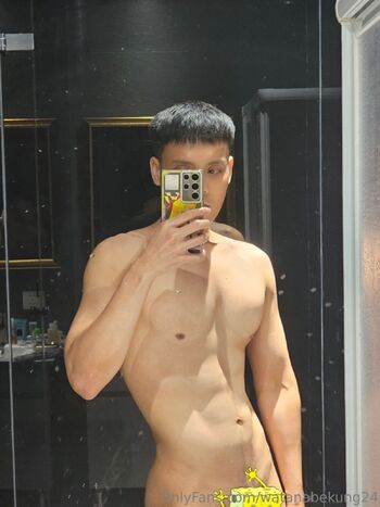 watanabekung24